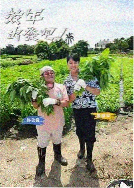 歌手 91精品视频网站